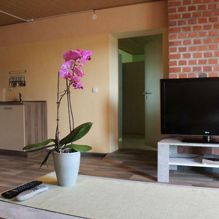 Ferienwohnung Im Gruenen Diesbar-Seusslitz Dış mekan fotoğraf